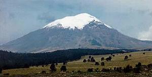 /images/uff/530129580_957fa442cc_o.jpg