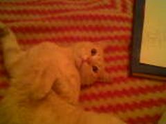 /images/uff/530141432_ac9f4d6c31_o.jpg