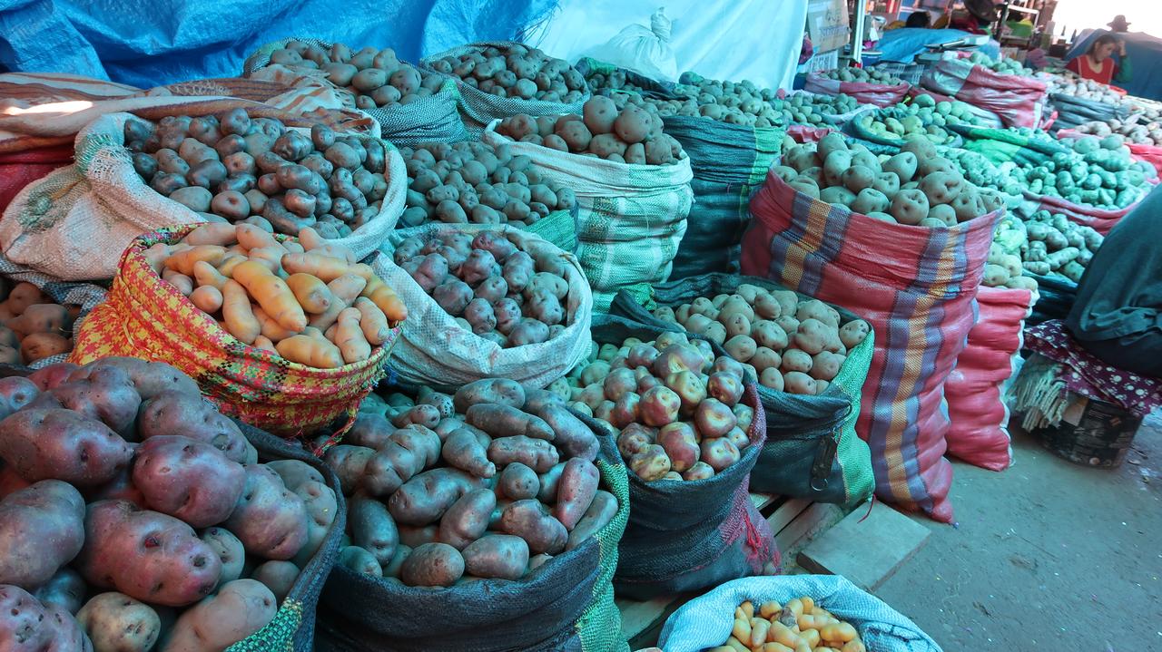 Papas, muchos tipos de papas