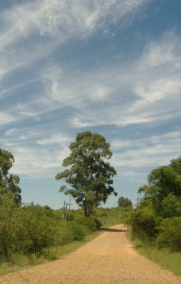 Camino y cielo